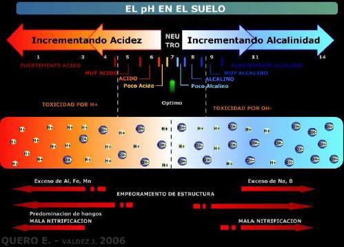 el pH en el suelo