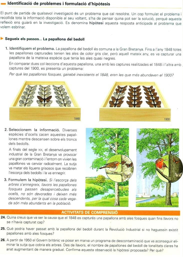 Identificación del problema