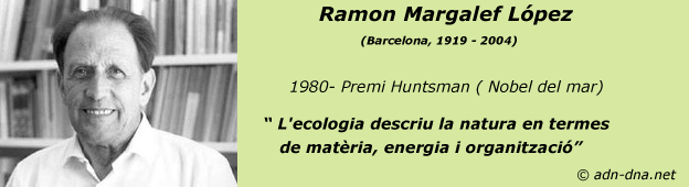 Ramon Margalef